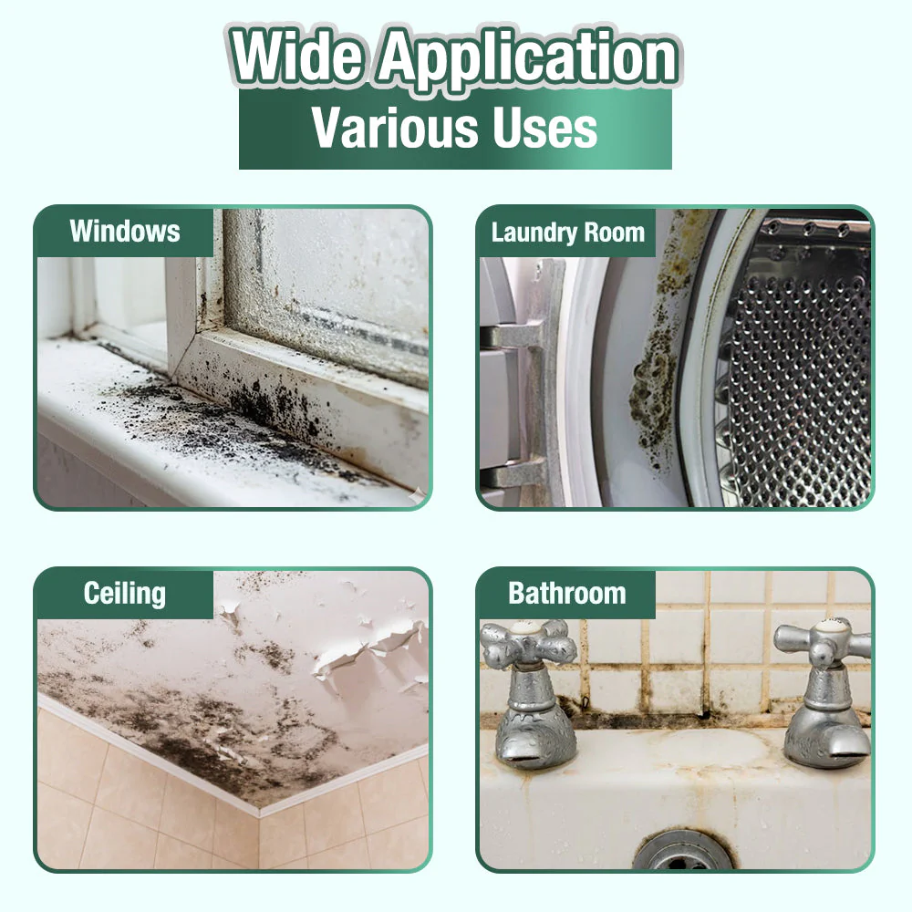 Daphtora® MoldiZero Mildew Clearing Magic Box - Image 5