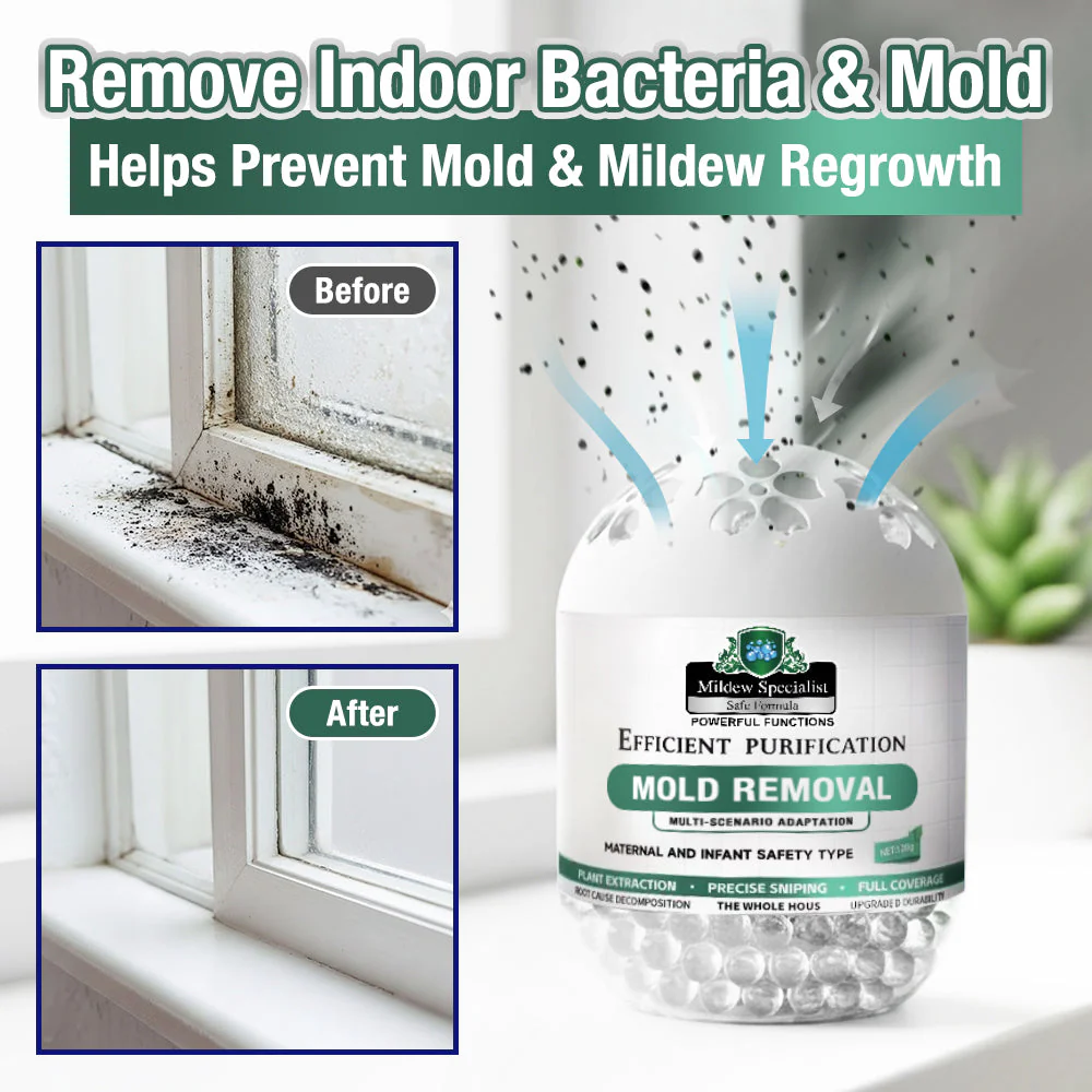 Daphtora® MoldiZero Mildew Clearing Magic Box - Image 8