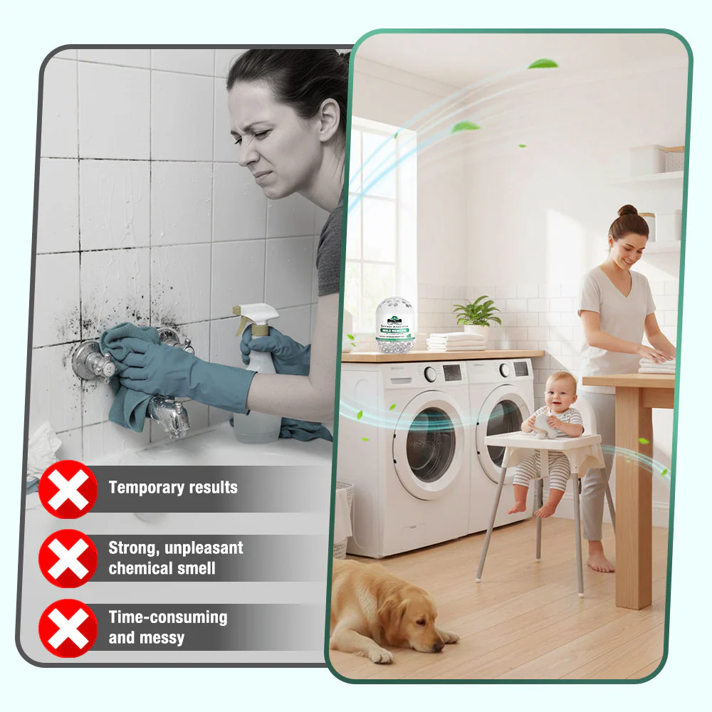 Daphtora® MoldiZero Mildew Clearing Magic Box - Image 9